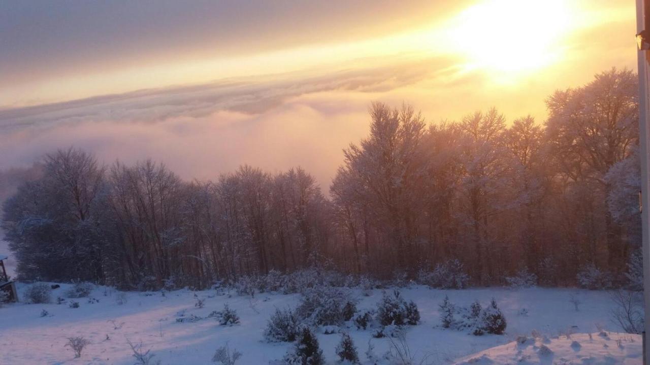 Goma Kop Apartmani Kopaonik Bagian luar foto