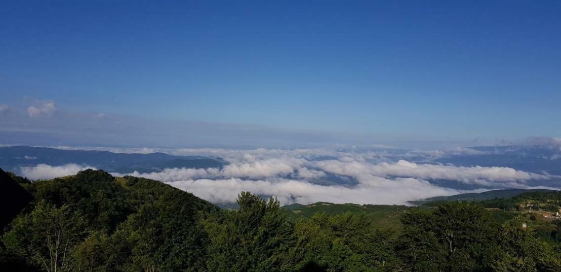 Goma Kop Apartmani Kopaonik Bagian luar foto